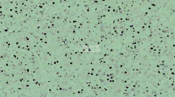 Линолеум Mipolam Elegance El5 0355 Green фото 1 | FLOORDEALER